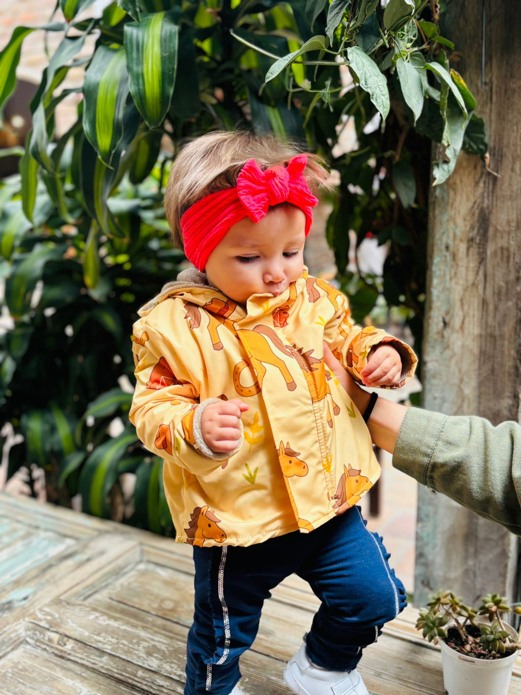 Chaqueta Little Spirit 🐴